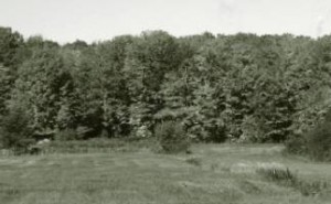 image002 (1)